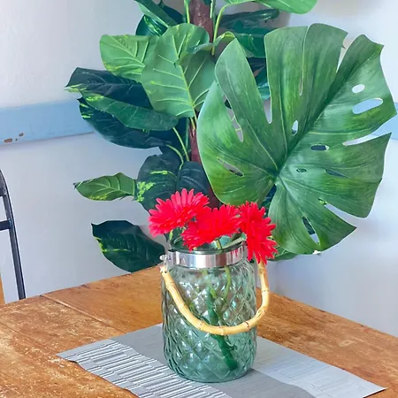 アパート Blu Papagayo