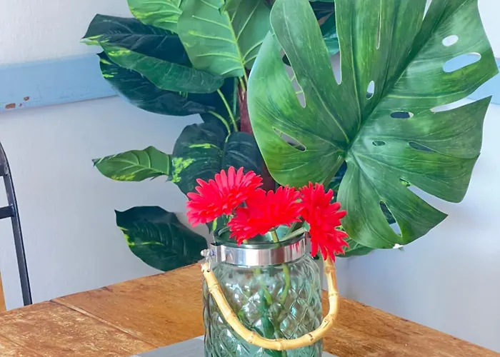 Apartamento Blu Papagayo